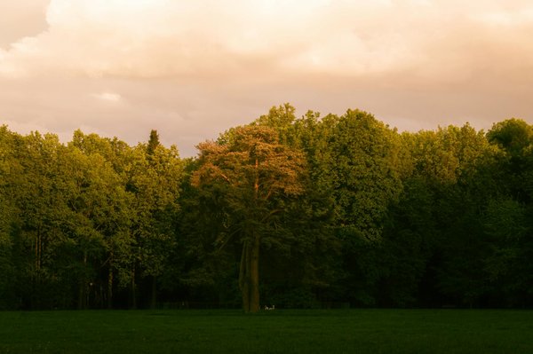 Guide complet sur le tca : découvrir symptômes et solutions