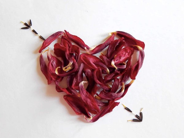 Comment cultiver la bienveillance envers soi-même pour favoriser le bien-être